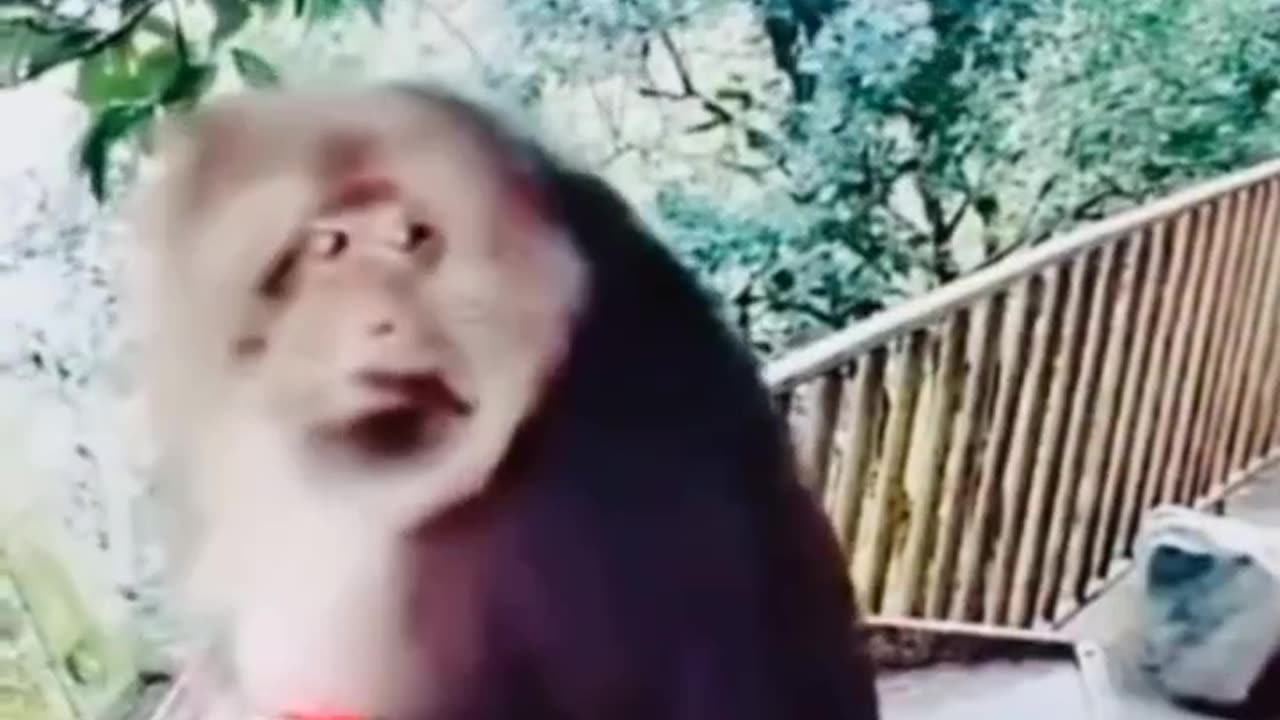 Funny video 🤣🤣🤣