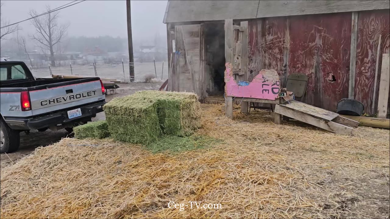 Graham Family Farm: Happy Thanksgiving - 10:50 AM 11/28/2024