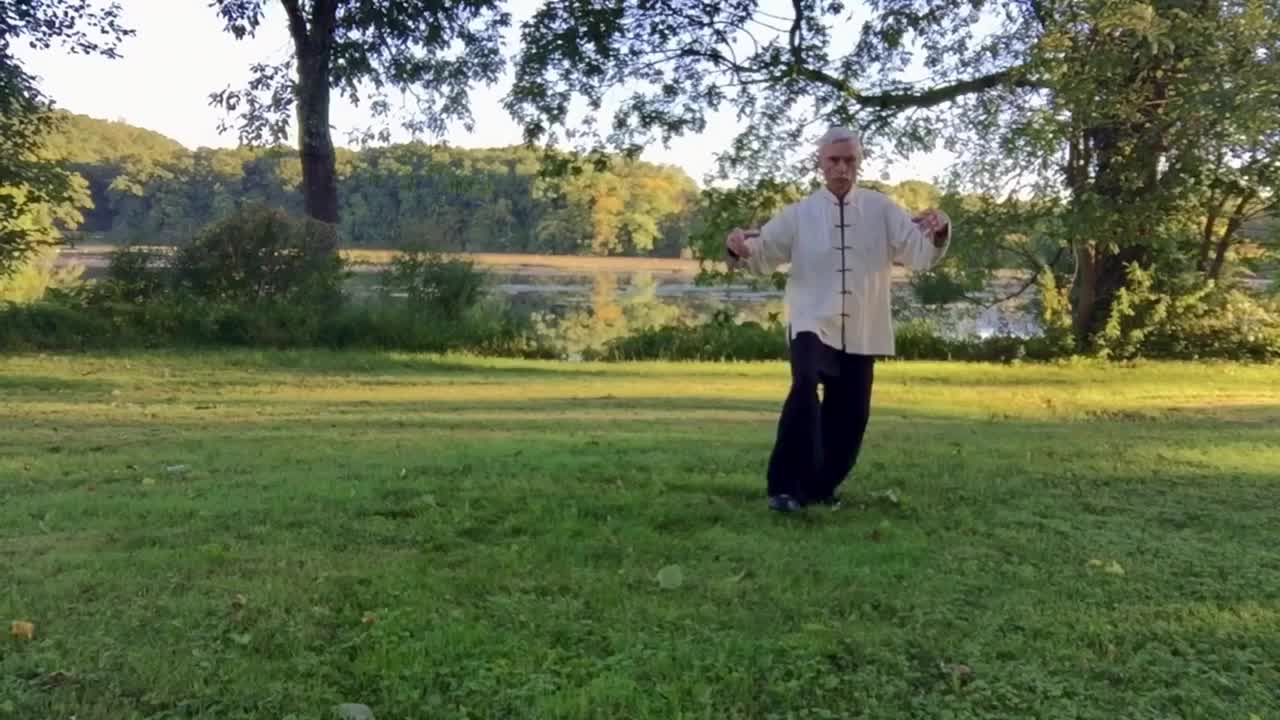 Tai Chi 37 Posture Form