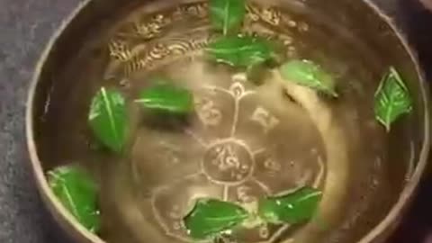 satisfaction water video