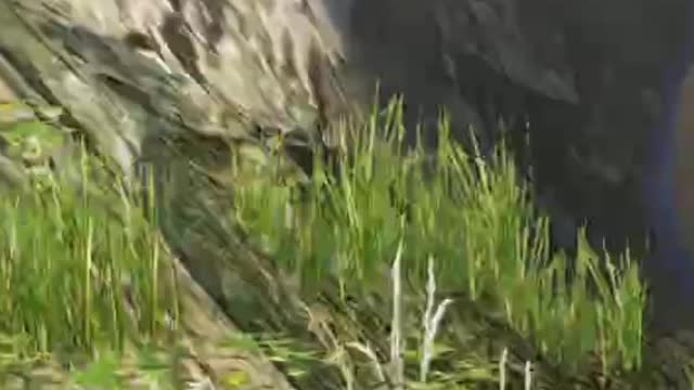 Descent from the mountain #1.1 #Shorts