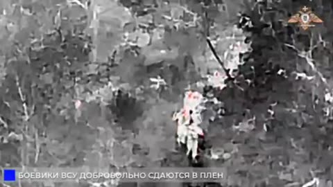 Ukrainian Armed Forces are surrendering en masse