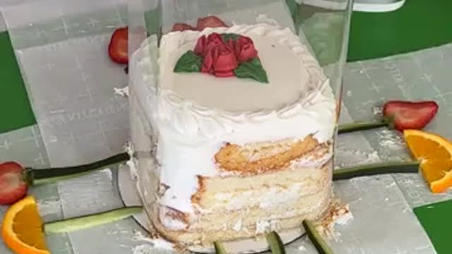 You have NEVER seen anything like this!! (For Entertainment Purposes Only)