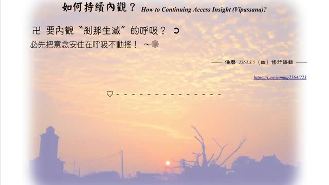 008【要內觀〝剎那生滅〞的呼吸】630305