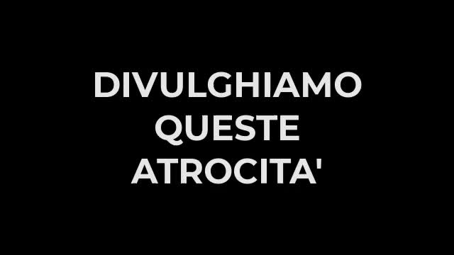 LA BESTIA UCRAINA DA DIFFONDERE AL MONDO! doppiato in italiano