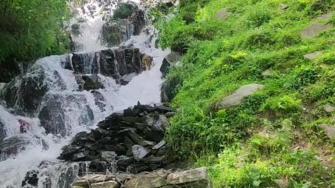 Save Water Save generation