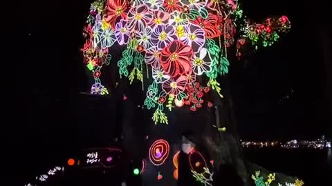 Beautiful light festivals and amazing sights(2)