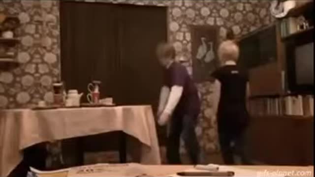 funny video.cat animal funny video screen. try to not laugh challenge for you