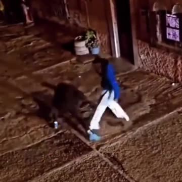 Gitano contra moro. ¿ Quién ganará?