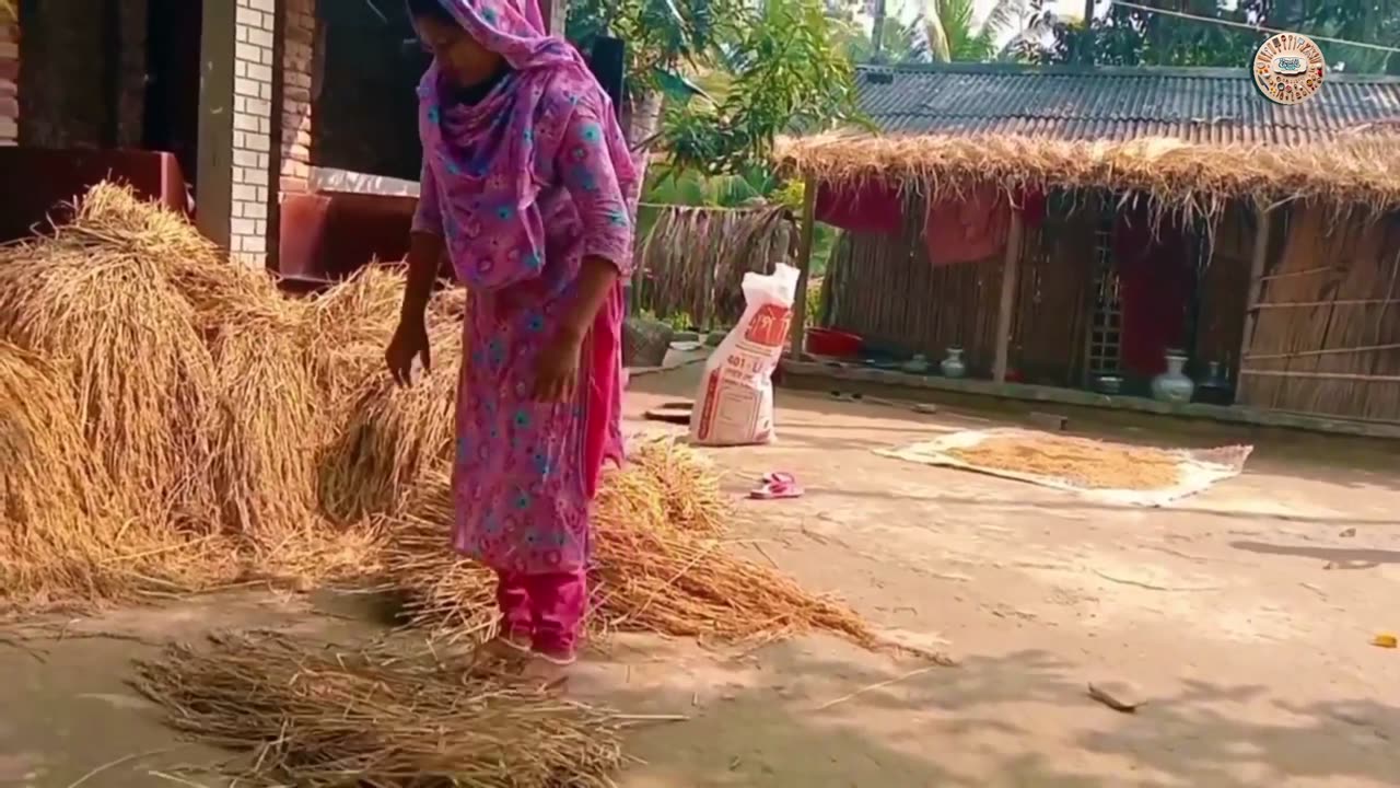 ধানের মৌসুমে গ্রামের মেয়েদের কাজ _ Rural Women’s Daily Tasks During Paddy Season | Village Life