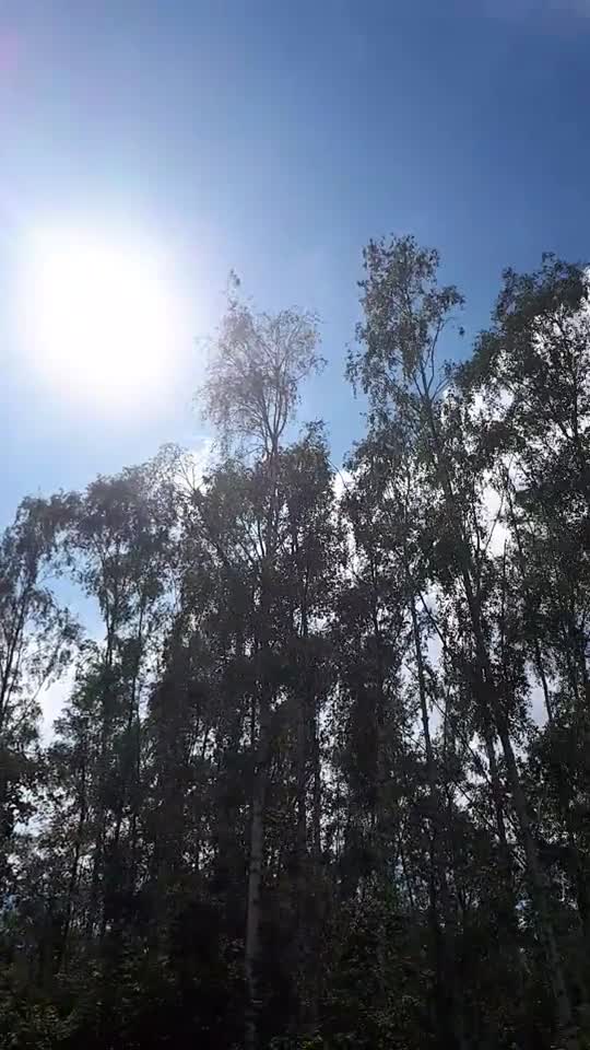 Himmel in Berlin am 6. Juni 2022 etwa 15 Uhr