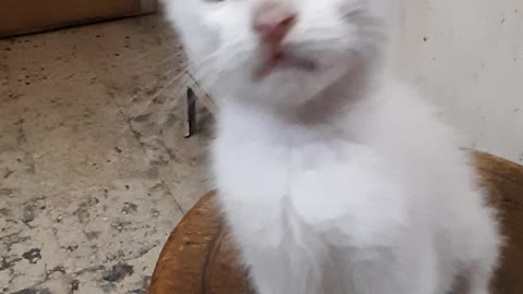 Maria Reactions On Live Camera