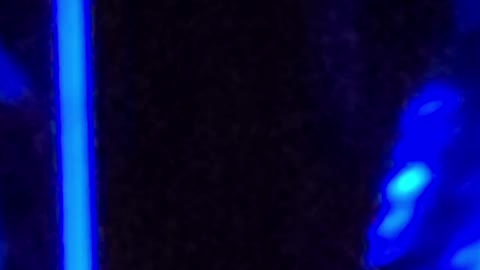 Stevie Nicks "Landslide" Fleetwood Mac Cover