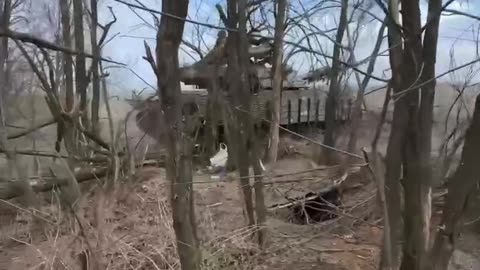 New Footage of Ukrainian MS-55 Tanks