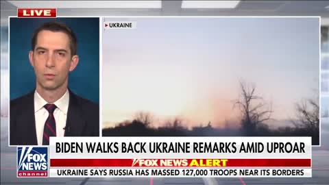 Sen. Cotton: Our adversaries are taking advantage of us at every turn