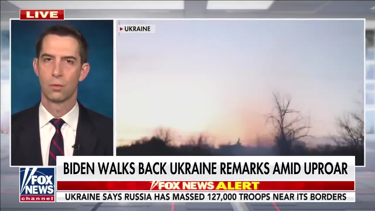 Sen. Cotton: Our adversaries are taking advantage of us at every turn