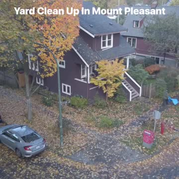 Yard clean up