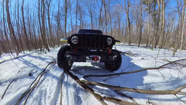 Cold Weather Crawling