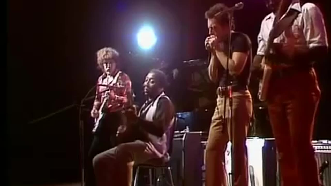 Muddy Waters - Prison Bound Blues