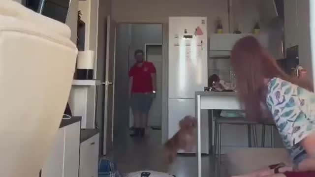 Dog Prank Super