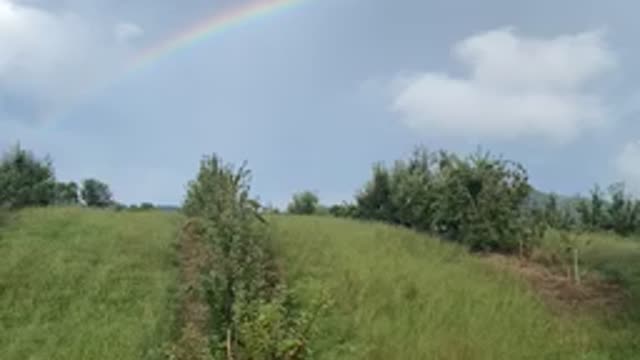 Beautiful Double Rainbow in Backyard on Rainy Afternoon