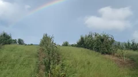 Beautiful Double Rainbow in Backyard on Rainy Afternoon