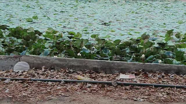 Samar Hills Madurai