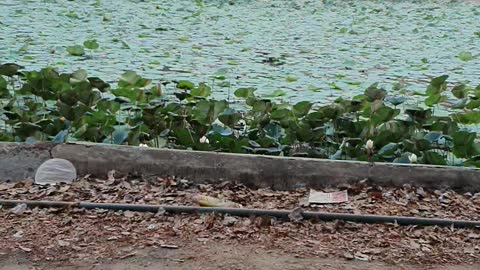 Samar Hills Madurai