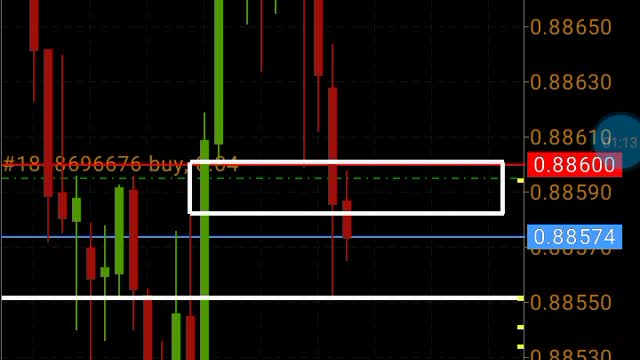 Trading forex live