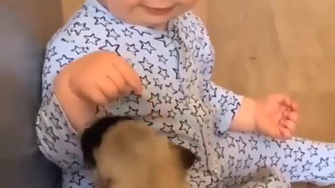 Cute Baby playing with puppy