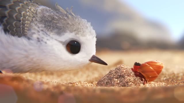 yt1s.com - Piper Clip uit de Pixar Kortfilm voor Finding Dory Disney BE