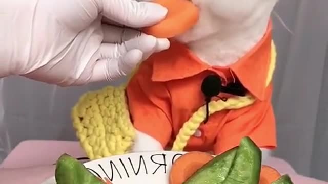 What your fav food-#asmr #音声効果チャレンジ #cute