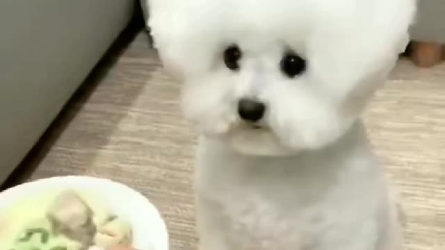 Talented boy