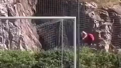 Soccer skills