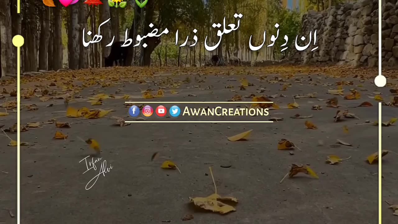 December K Bichharry | Urdu Poetry | Status Video | Rumble Video