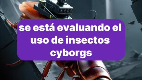 las cucarachas cyborg.