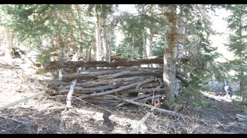 Hunting Blind in New Area