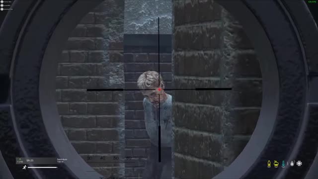 DayZ Gameplay: I shot Granny!