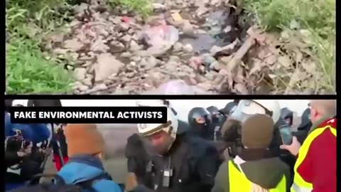 Real environmental activists vs Fake environmental activists