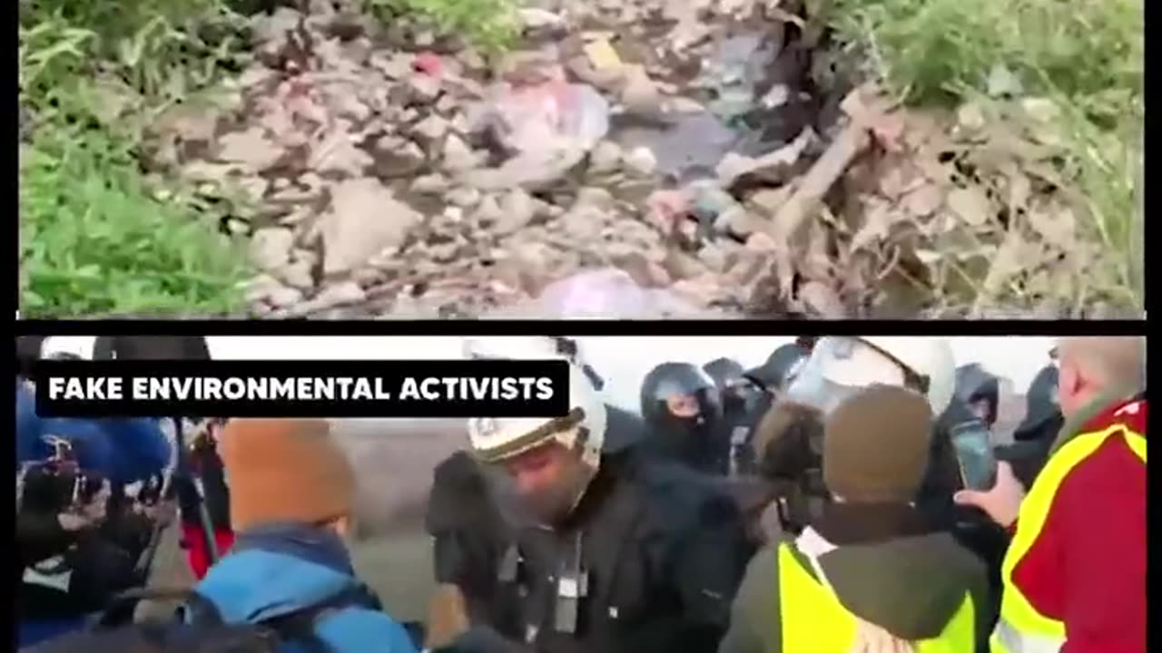 Real environmental activists vs Fake environmental activists