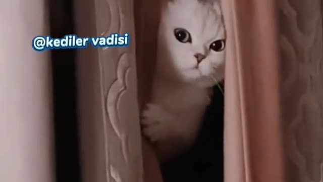 It wasn't me