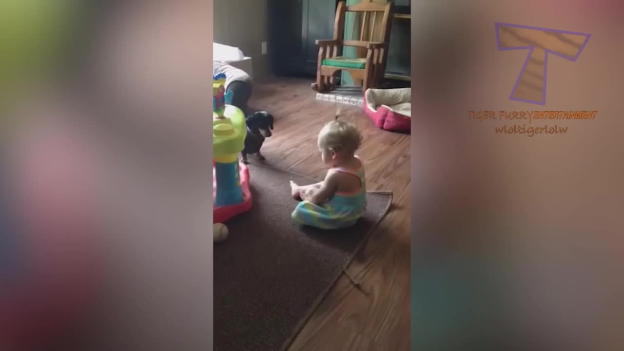 FUN CHALLENGE- Try NOT to laugh - Funny & cute dogs and kids