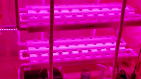 Hydroponic System Built