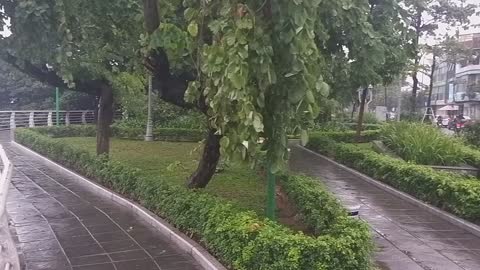 A view of West Lake - Hanoi