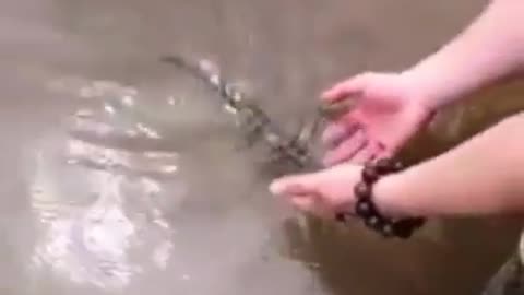 La naturaleza y el amor