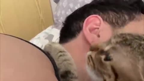 Jealous cat slap a girl