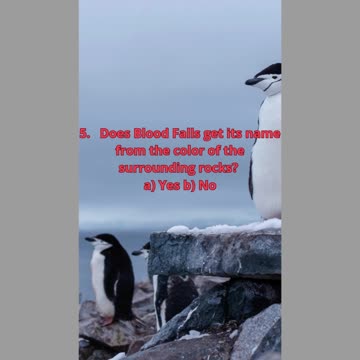 The Strange Case of Antarctica’s Blood Falls