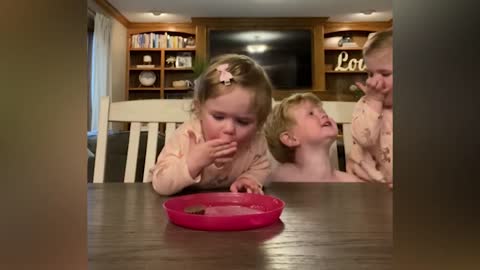 Best Videos Of Funny Twin Babies Compilation _ Funny Baby Video