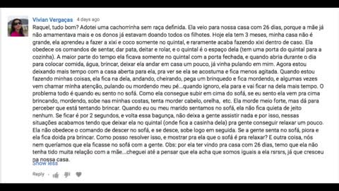 3 filhotes de 3 meses super agitado em casa