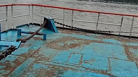 Short video
